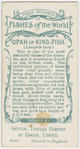 Opah or king-fish (Lampris luna).