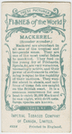 Mackerel (Scomber scomber).