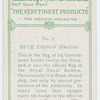 Blue Ensign (British).