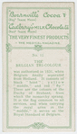 The Belgian Tri-Colour.