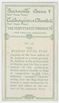 The Russian Naval Flag.