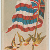 Hawaiin Islands.