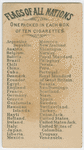 Papal Standard.