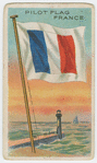 Pilot flag France.