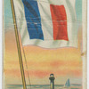 Pilot Flag France.