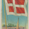 Denmark Pilot Flag.