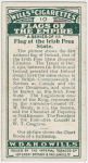 Flag of the Irish Free State.