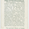 Flag of Newfoundland.
