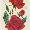 La rose.