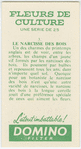 Le narcisse des bois.