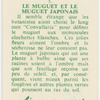 Le muguet et le muguet Japonais.