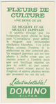 Le muguet et le muguet Japonais.