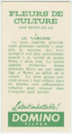 Le narcisse.