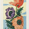 L'anemone.