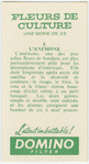 L'anemone.