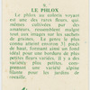 Le phlox.