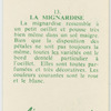 La mignardise.