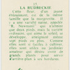 La rudbeckie.