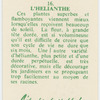 L'helianthe.