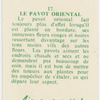 Le pavot oriental.