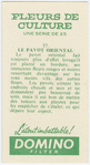 Le pavot oriental.