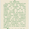 La mauve.