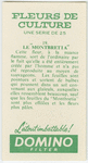 Le "montbretia".