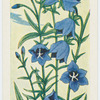La campanule.