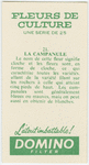 La campanule.