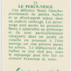 Le perce-neige.