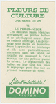 Le perce-neige.