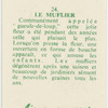 Le muflier.
