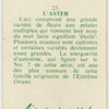 L'aster.