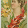 Gladiola, on the defensive.