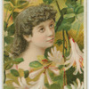 Honeysuckle, fidelity.