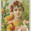 Holly-hock, ambition.