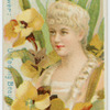 Gilly-flower, unfading beauty.