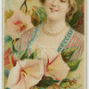 Morning glories, bonds of affection.