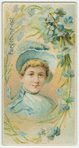 Forget-me-not.