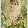 Orange blossom, maidenly reserve.