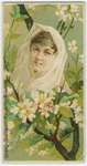 Orange blossom, maidenly reserve.