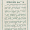 Hedgehog cactus.