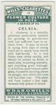 Celsia.