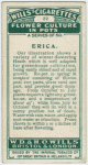 Erica.