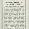 Heliotrope or cherry pie.