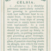 Celsia.