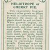 Heliotrope or cherry pie.