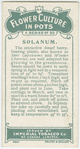 Solanum.