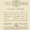 Delphiniums