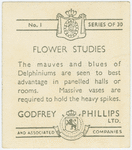 Delphiniums